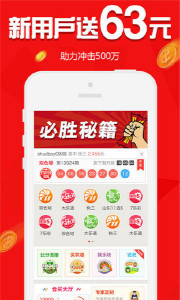 王中王欲錢請猜一肖，揭秘生肖之謎與SEO策略，揭秘生肖之謎與SEO策略，王中王欲錢請猜一肖的奧秘