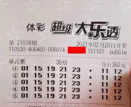 王中王018期指一生肖，揭秘背后的奧秘與意義，揭秘生肖奧秘，王中王生肖背后的意義與秘密