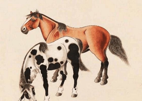 馬一王中王特平一肖圖，深度解析與SEO優(yōu)化策略，深度解析馬一王中王特平肖圖，SEO優(yōu)化策略探討
