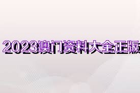 2025新奧正版資料免費獲取指南，2025新奧正版資料免費獲取攻略