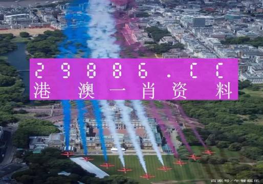澳門今晚必開一肖一特，深度解析與預測，澳門今晚生肖特碼深度解析與預測，一肖一特必開趨勢探討