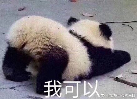 澳門(mén)四不像正版四不像網(wǎng)，探索真實(shí)與虛幻的交融之地，澳門(mén)四不像正版探索，真實(shí)與虛幻的交融世界