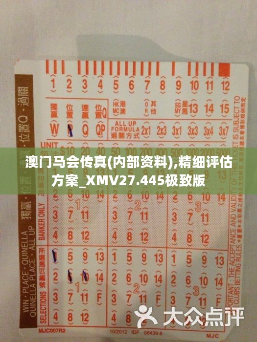 馬會(huì)傳真正版，探索正版馬會(huì)文化的魅力與價(jià)值，正版馬會(huì)文化的魅力與價(jià)值探索