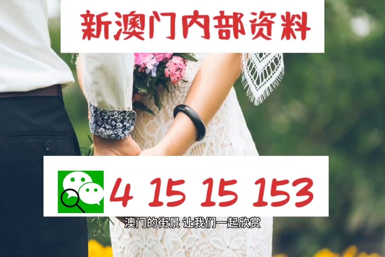 新澳今天最新資料，深度解讀與SEO優(yōu)化策略，新澳今日最新資料深度解讀與SEO優(yōu)化策略指南