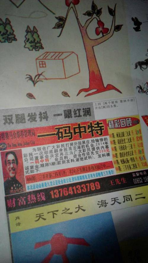 生肖奧秘與策略揭秘