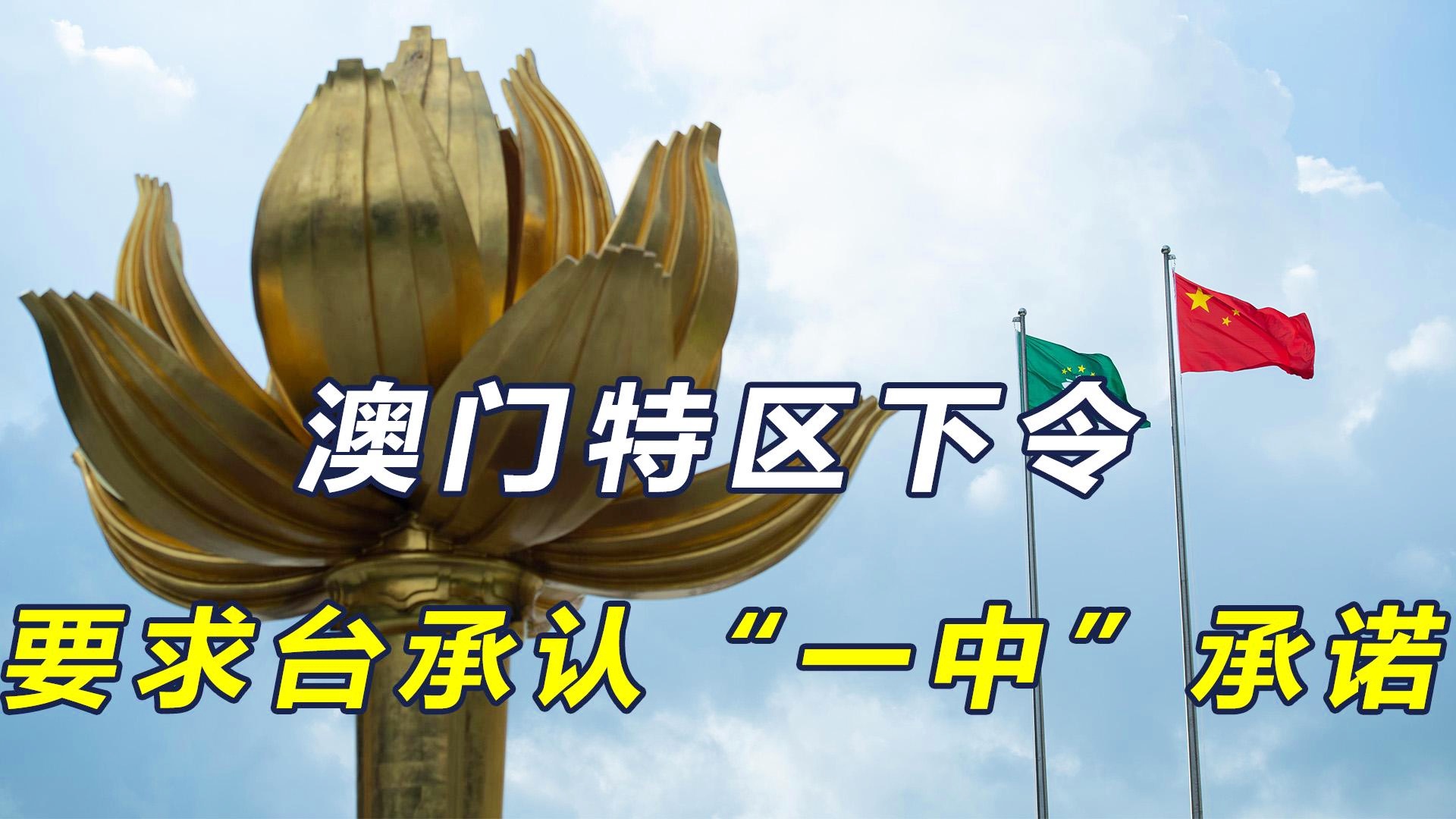 澳門一碼一肖一特一中直播，探索與體驗(yàn)獨(dú)特的娛樂盛宴，澳門一碼一肖直播，獨(dú)特娛樂盛宴的探索與體驗(yàn)