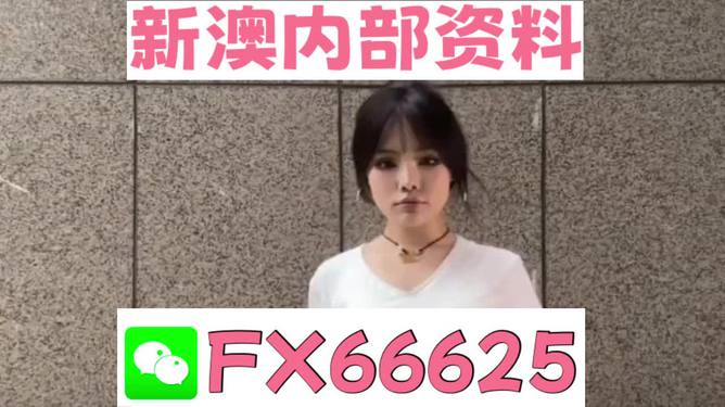澳門正版資料大全完整版，探索與揭秘2025年澳門正版資料的世界，澳門正版資料大全揭秘，探索未來至2025年的奧秘世界