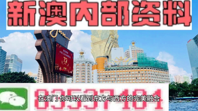 新澳新澳門正版資料，探索與解析，新澳新澳門正版資料深度解析與探索
