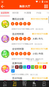 尋找王中王一肖圖——深度解析背后的故事，深度探尋王中王一肖圖的背后故事