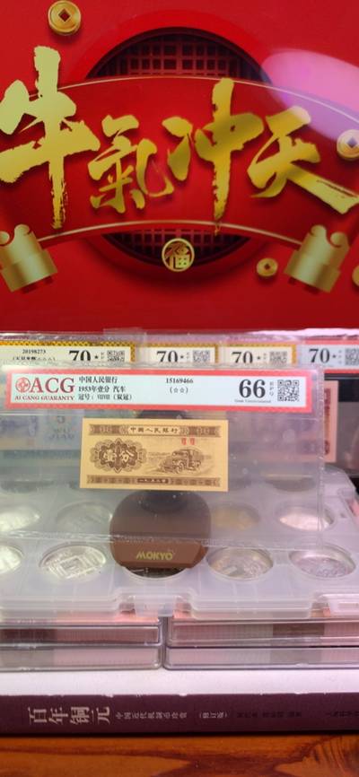 王中王廣東一肖，探尋背后的故事與奧秘，王中王廣東一肖，背后的故事與奧秘探尋
