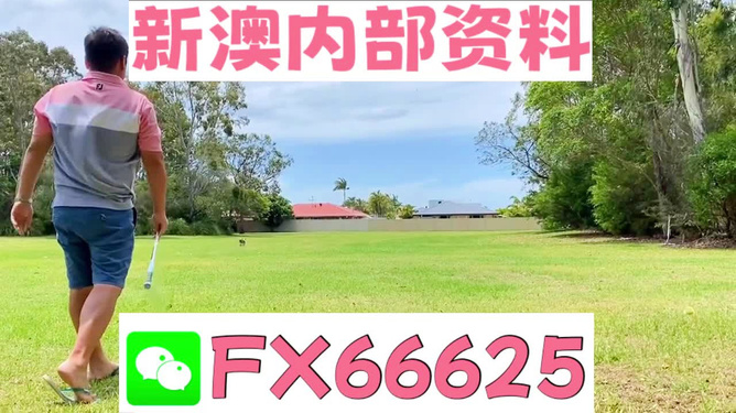 王中王兩肖一碼，揭秘背后的奧秘，王中王兩肖一碼揭秘，背后的秘密與奧秘