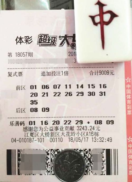 澳門六開彩天天開獎結(jié)果查詢，輕松掌握最新動態(tài)，澳門六開彩最新開獎結(jié)果查詢，輕松掌握每日動態(tài)
