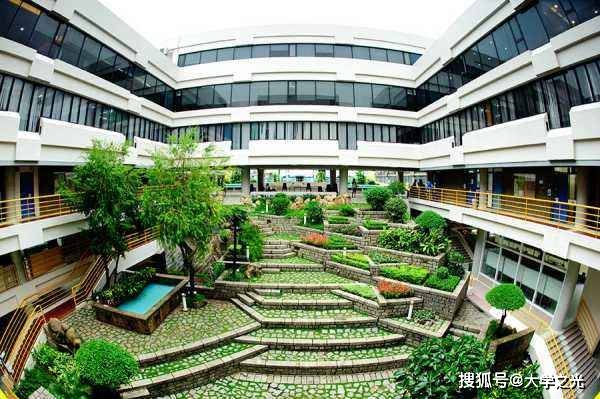 新澳芳草，最精準(zhǔn)的探尋與體驗(yàn)，新澳芳草，精準(zhǔn)探尋與獨(dú)特體驗(yàn)