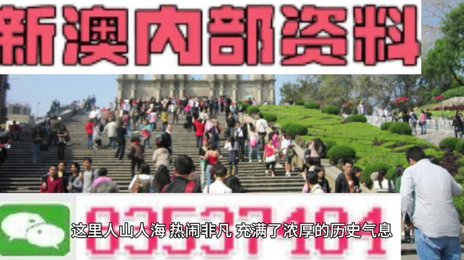 澳門最精準(zhǔn)免費(fèi)資料大全旅游團(tuán)，探索澳門之旅的完美選擇，澳門最精準(zhǔn)免費(fèi)資料大全旅游團(tuán)，探索澳門之旅的不二之選