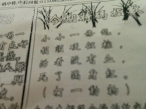 揭秘劉伯溫平特一肖——探尋傳奇人物與SEO的奧秘，劉伯溫平特一肖揭秘，傳奇人物與SEO的神秘關聯(lián)探索