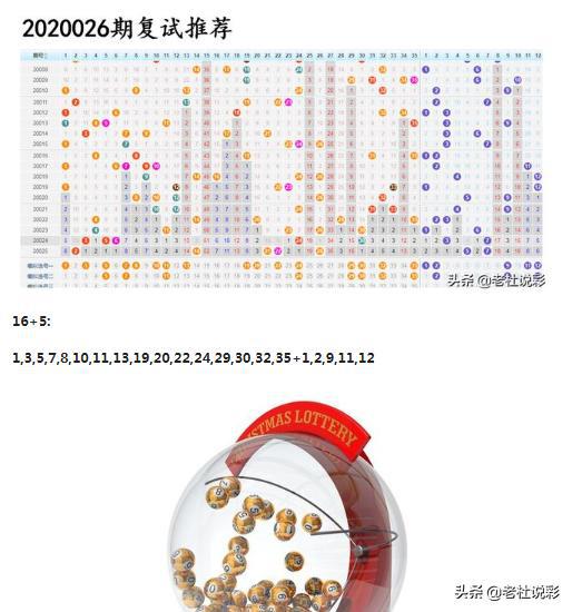 王中王026期指一生肖，深度解讀與SEO優(yōu)化策略，王中王026期生肖深度解讀與SEO優(yōu)化策略全解析