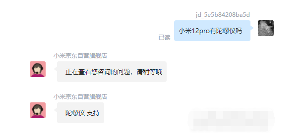 王中王一肖碼，探索關(guān)鍵詞背后的奧秘，王中王一肖碼，揭秘關(guān)鍵詞背后的奧秘