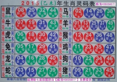 揭秘2025十二生肖與數(shù)字彩票的神奇聯(lián)系——49碼表全解析，揭秘十二生肖與數(shù)字彩票的神秘聯(lián)系，2025年49碼表深度解析
