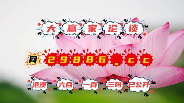 王中王資料提供一肖中特，深度解析與SEO優(yōu)化策略，王中王資料揭秘，一肖中特深度解析與SEO優(yōu)化策略全攻略