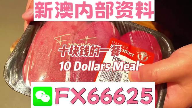 揭秘2025新奧精準(zhǔn)正版資料，全方位解讀與SEO優(yōu)化策略，揭秘2025新奧精準(zhǔn)正版資料，全方位解讀與SEO策略優(yōu)化指南