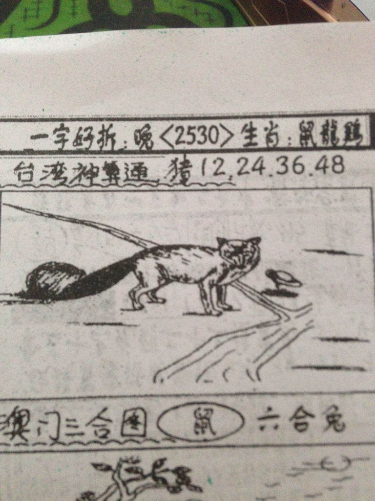 揭秘生肖奧秘，看圖猜一生肖劉伯溫的傳奇故事，揭秘生肖奧秘，劉伯溫傳奇故事中的生肖之謎探索