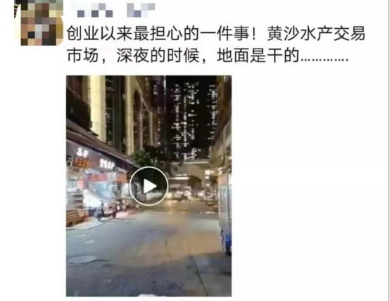 好料盡在王中王——揭秘生肖運勢的獨特魅力，揭秘生肖運勢獨特魅力，王中王好料大解密