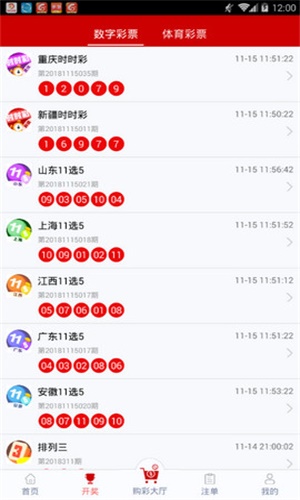 一碼一肖，揭秘背后的秘密與探索其獨(dú)特魅力，揭秘一碼一肖背后的秘密與獨(dú)特魅力探索