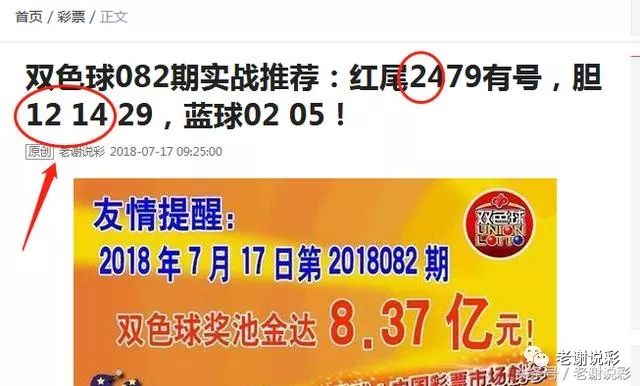 王中王082期指一生肖——探尋生肖魅力，洞悉運勢奧秘，探尋生肖魅力，揭秘運勢奧秘——王中王生肖運勢解析 082期