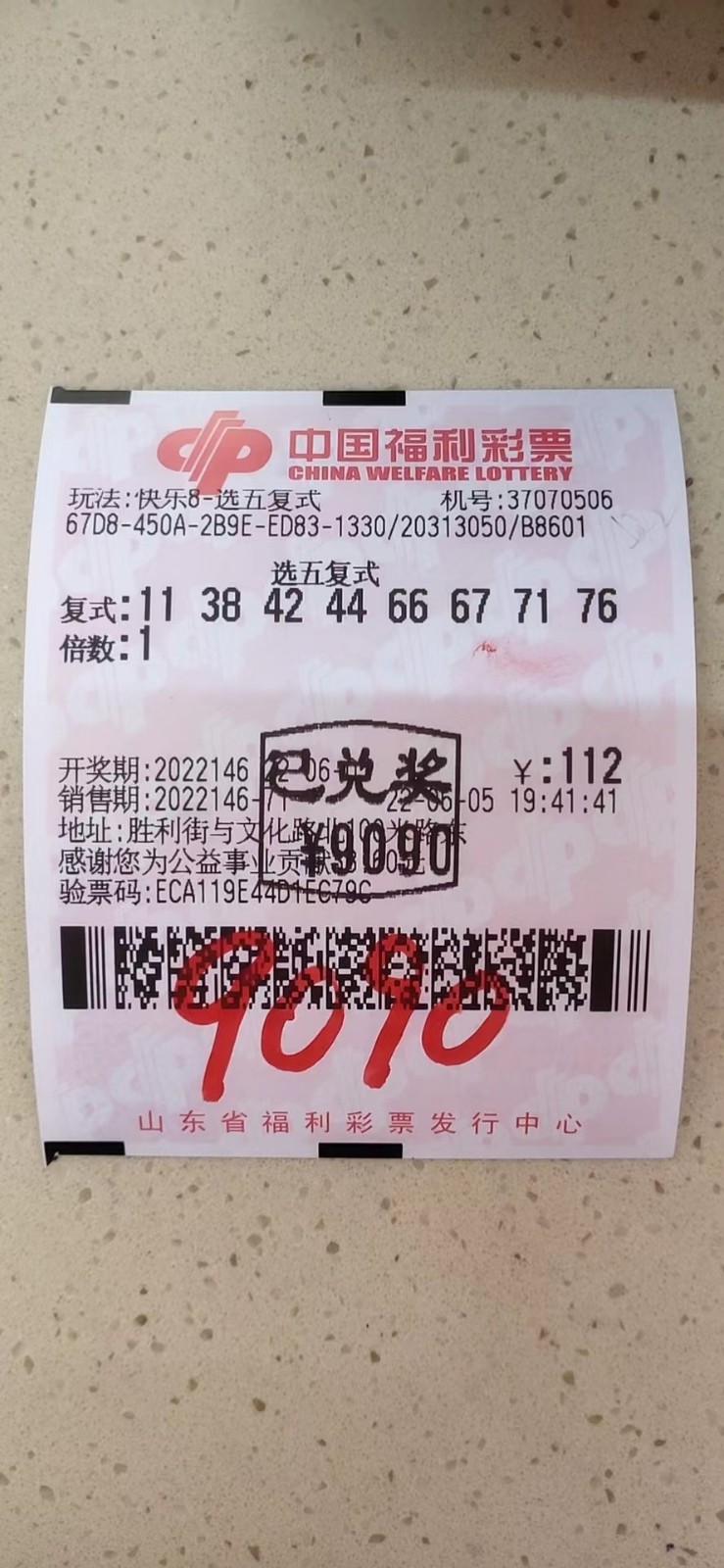 揭秘002期王中王平特一肖，背后的故事與奧秘，揭秘王中王平特一肖背后的故事與奧秘（第002期）