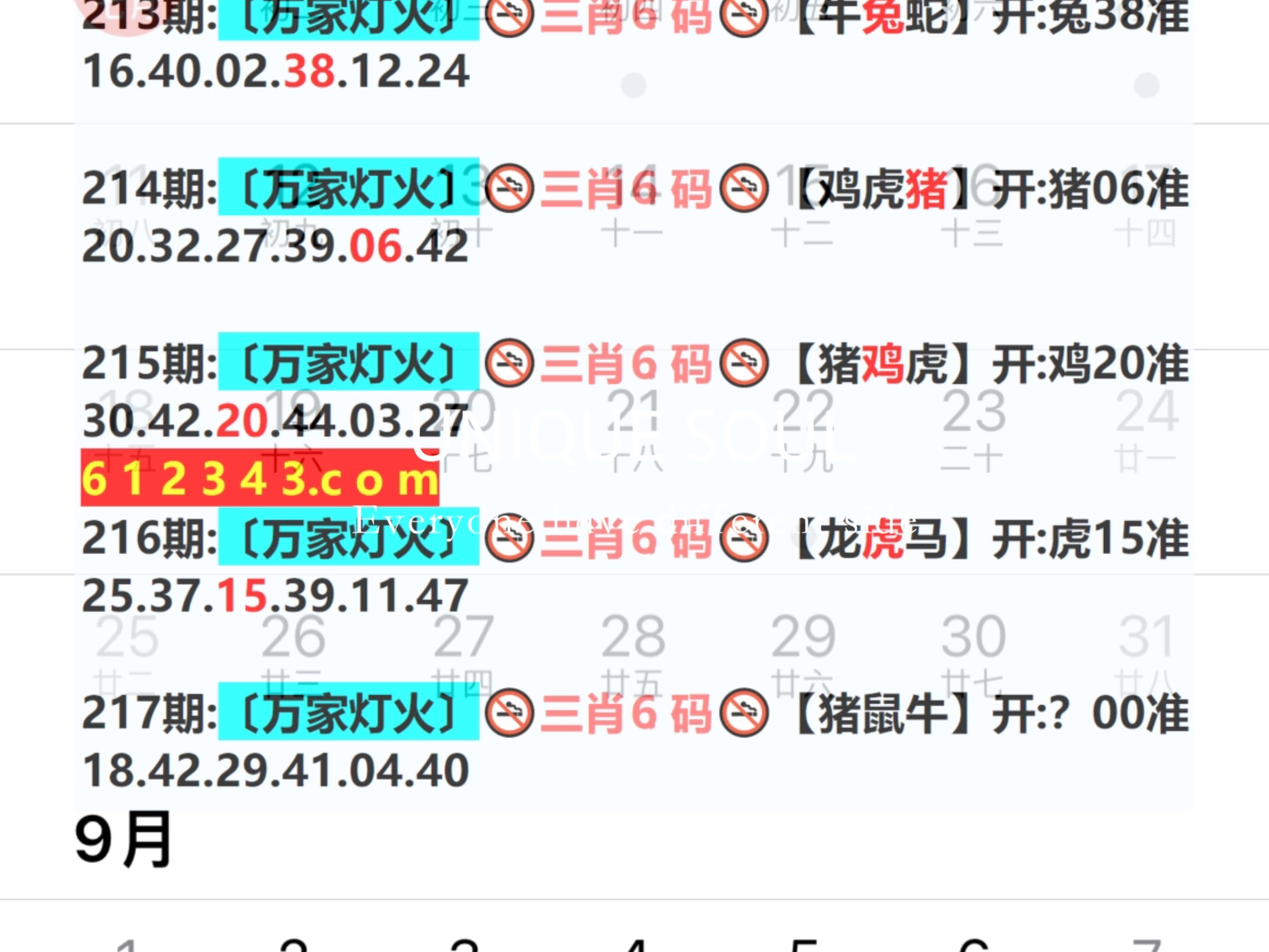 新奧今日六肖中特，揭秘背后的秘密與趨勢分析，揭秘新奧今日六肖中特背后的秘密與趨勢分析