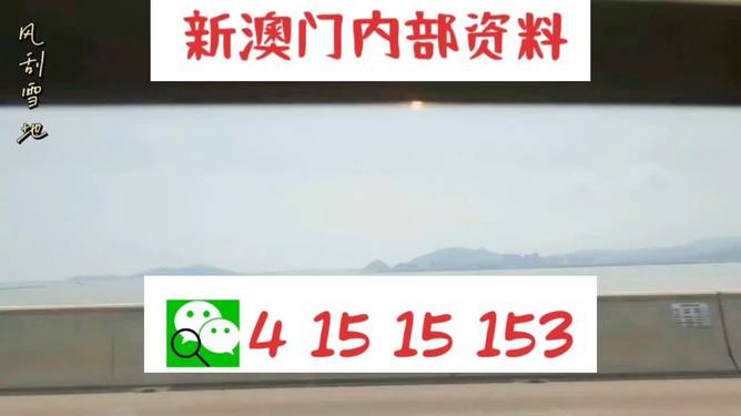 新澳2025最新資料生肖，深度解析與預(yù)測展望，新澳2025最新生肖資料深度解析與未來預(yù)測展望