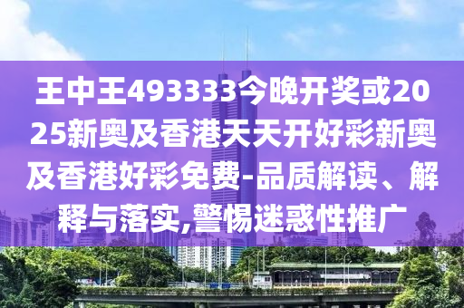 王中王493333中特大全，深度解析與SEO優(yōu)化策略，王中王493333中特大全，深度解析與SEO優(yōu)化策略指南