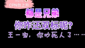 一肖二肖是什么意思——深度解析中國民俗中的生肖文化，深度解析中國民俗中的生肖文化，一肖二肖的含義與故事