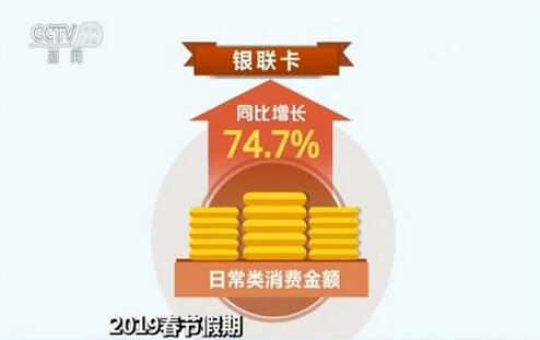 揭秘2019王中王四肖期期準一，探索背后的秘密與真相，揭秘王中王四肖期期準一，探索背后的真相與秘密