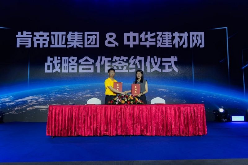 中國戰(zhàn)略網(wǎng)官網(wǎng)SEO文章，中國戰(zhàn)略網(wǎng)官網(wǎng)SEO策略與技巧詳解