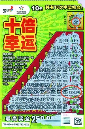 王中王平特一肖好彩頭——揭秘好運背后的秘密，揭秘好運背后的秘密，王中王平特一肖好彩頭解析