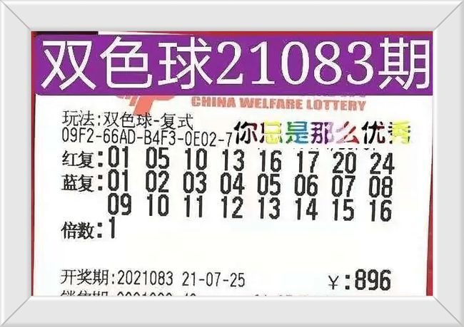 香港今晚開獎結(jié)果號碼，探索彩票背后的秘密，香港彩票開獎結(jié)果揭秘，探索彩票背后的神秘面紗