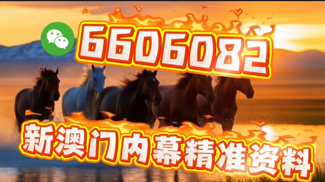澳門今晚必開一肖一特，探索生肖彩票的魅力與預(yù)測，澳門生肖彩票探索，魅力揭秘與今晚預(yù)測一肖一特
