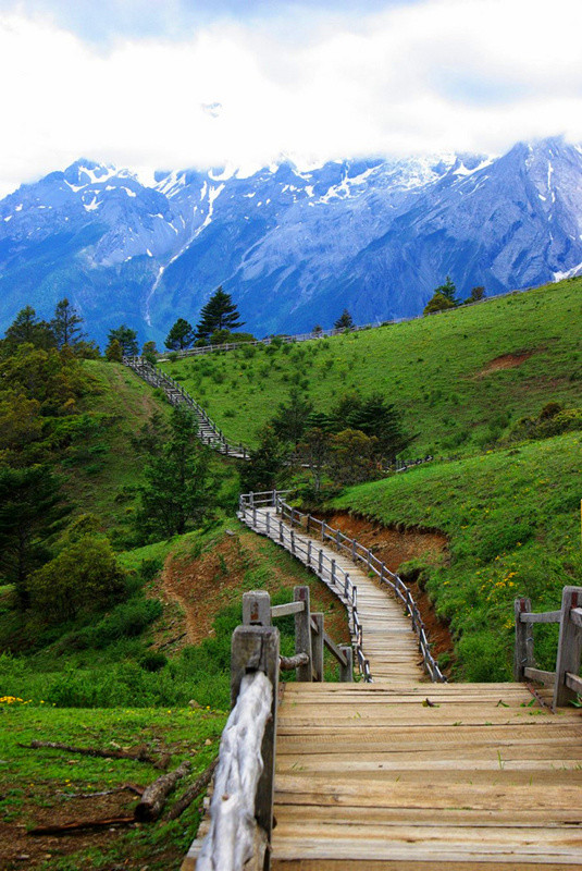 玉龍雪山門(mén)票免費(fèi)政策詳解，玉龍雪山門(mén)票免費(fèi)政策全面解析