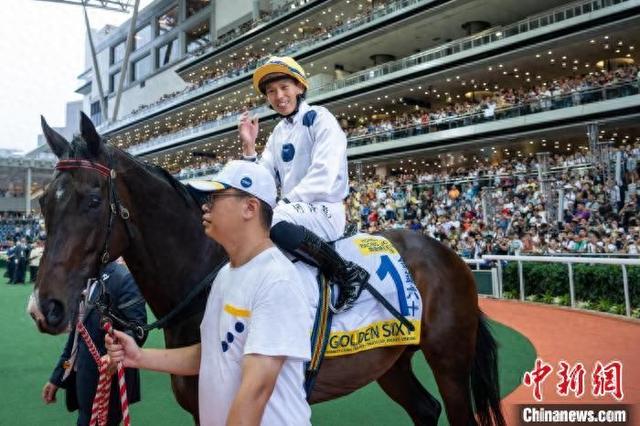 香港特馬王資料免費公開，深度解析與探索，香港特馬王資料深度解析與探索，免費公開揭秘
