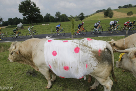 SEO洞察與神秘文化符號(hào)解讀