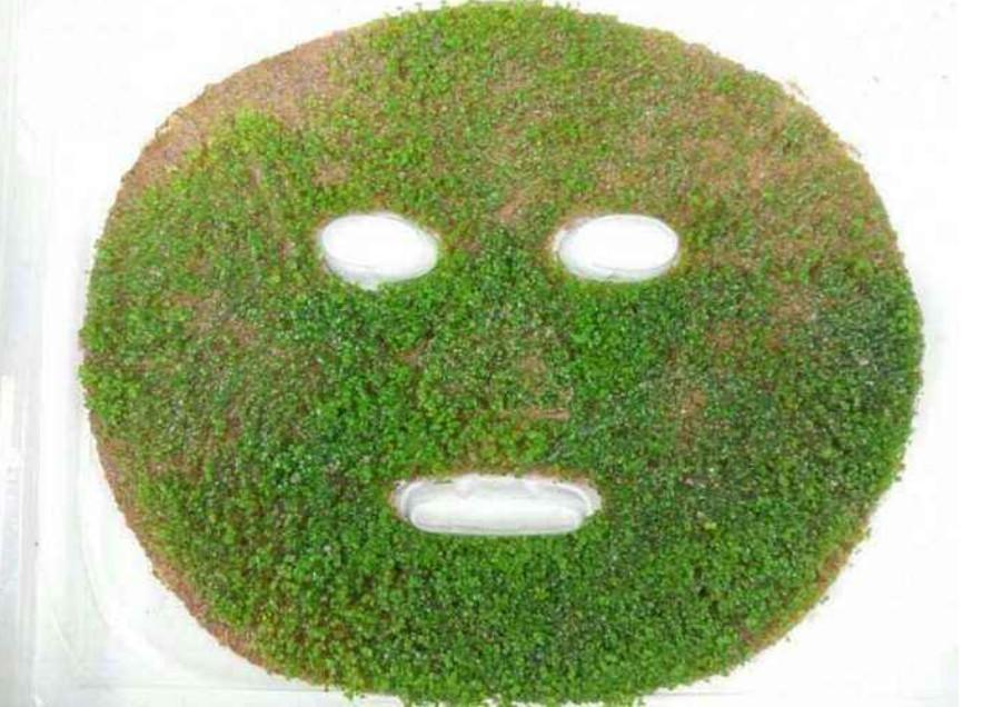 海藻面膜可以天天敷嗎？——深度解析海藻面膜的使用頻率與注意事項(xiàng)，海藻面膜的使用頻率與注意事項(xiàng)解析，能否天天敷海藻面膜？