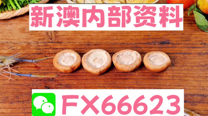 新澳全年免費(fèi)資料大全——探索與學(xué)習(xí)資源的寶庫，新澳全年免費(fèi)資料大全，探索與學(xué)習(xí)資源的終極寶庫