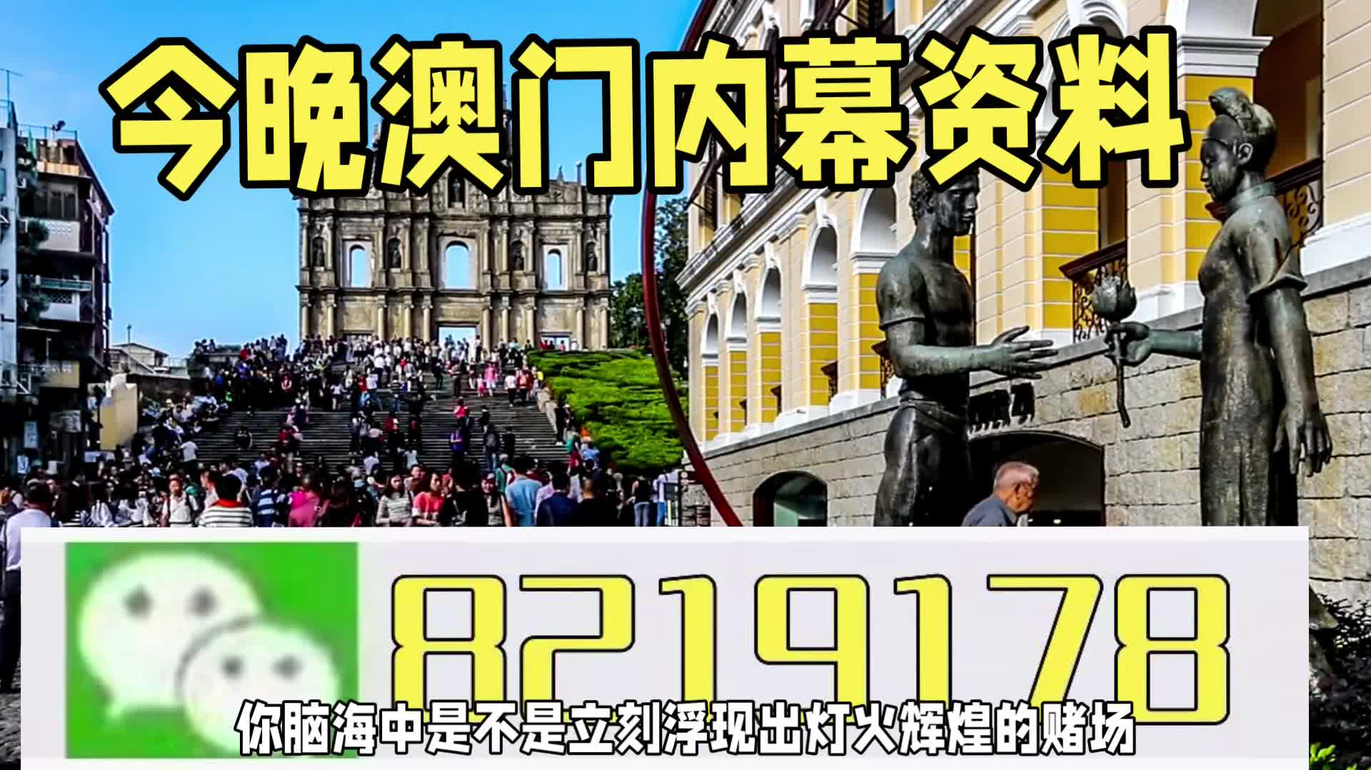 新澳門一肖一特一中，探索與解讀，新澳門一肖一特一中，深度探索與解讀
