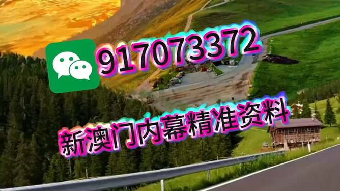 王中王一肖一中特，深度解析與SEO優(yōu)化策略，王中王一肖一中特深度解析與SEO優(yōu)化策略探討