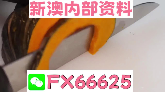 澳門管家婆，揭秘精準(zhǔn)預(yù)測(cè)的秘密武器，澳門管家婆揭秘，精準(zhǔn)預(yù)測(cè)的秘密武器全解析