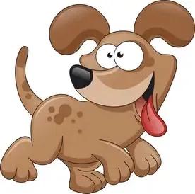 一肖有哪幾個(gè)生肖——生肖文化的深度解析，生肖文化深度解析，一肖涵蓋的生肖有哪些？