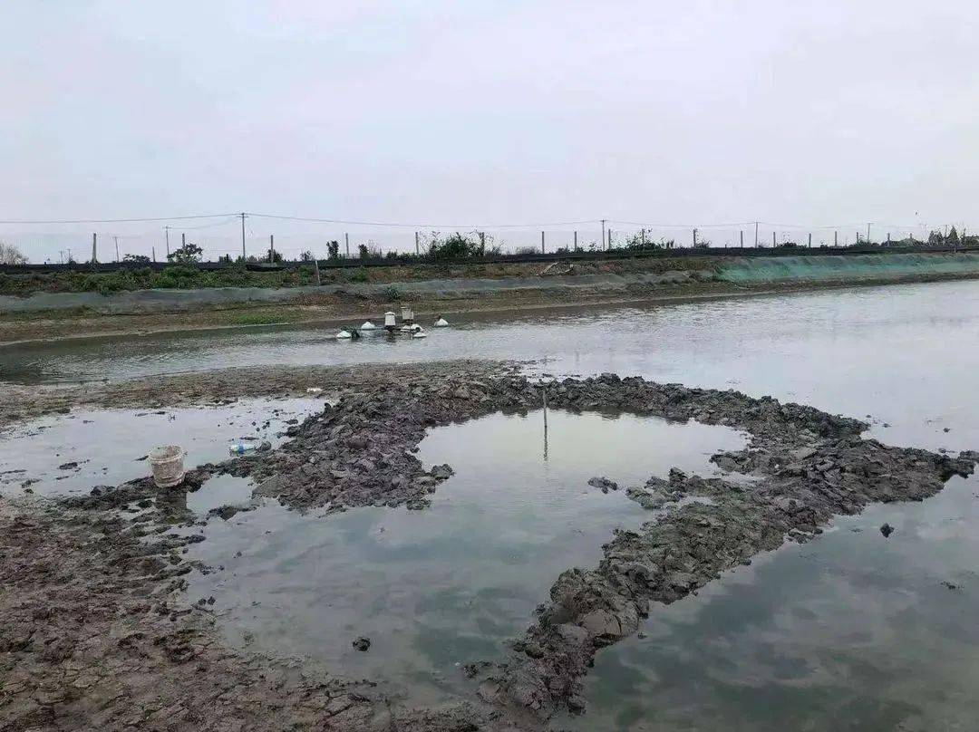 澳門六局中局開獎(jiǎng)結(jié)果查詢，輕松掌握最新開獎(jiǎng)動(dòng)態(tài)，澳門六局最新開獎(jiǎng)結(jié)果實(shí)時(shí)查詢，輕松掌握最新動(dòng)態(tài)