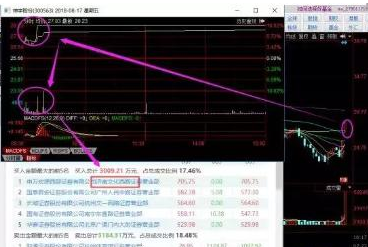 探索300563股吧的獨(dú)特魅力與機(jī)遇，揭秘300563股吧，獨(dú)特魅力與無限機(jī)遇