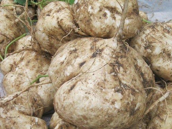 孕婦飲食需謹(jǐn)慎，孕婦不可以吃什么水果，孕婦飲食需謹(jǐn)慎，孕婦不宜食用的水果種類解析